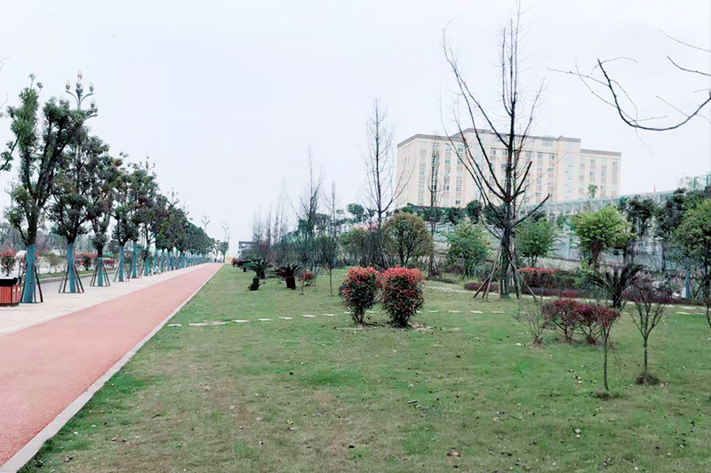 宜宾市翠屏区（一期B区）道路   管网等设施建设项目