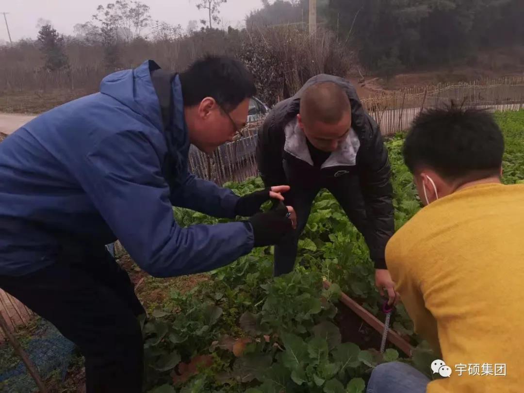 宇硕在网上怎么买球-搜狗指南